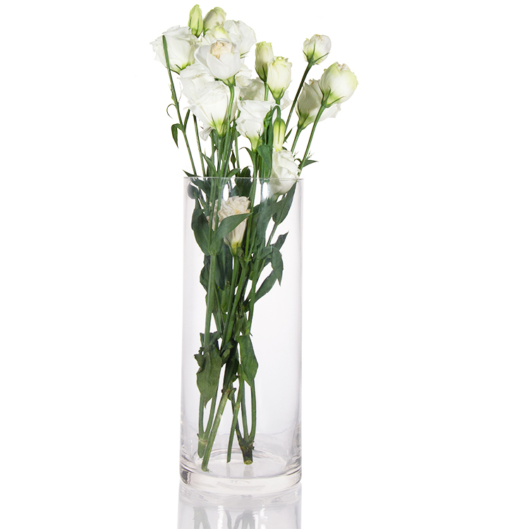 Glass Vases